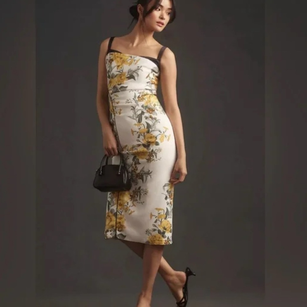 NWOT Anthropologie Maeve Dress